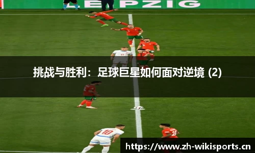 维基体育